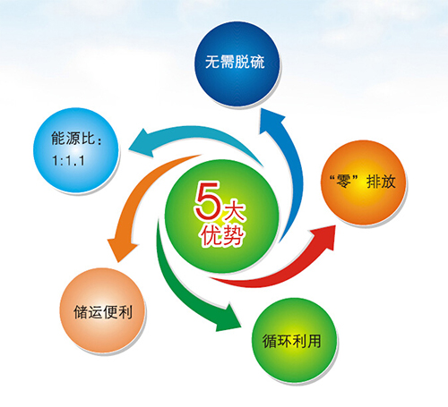 多功能生物質(zhì)燃料顆粒機(jī)性能有哪些？