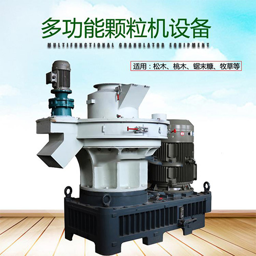 生物質(zhì)燃料顆粒機(jī) 生物質(zhì)燃料顆粒機(jī)